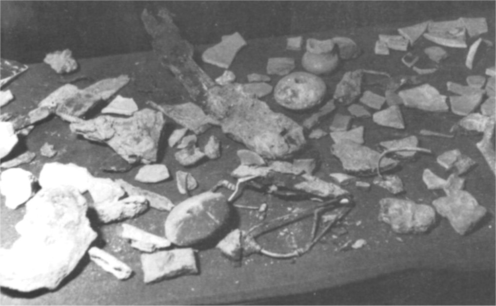 fotografia di pagina 13